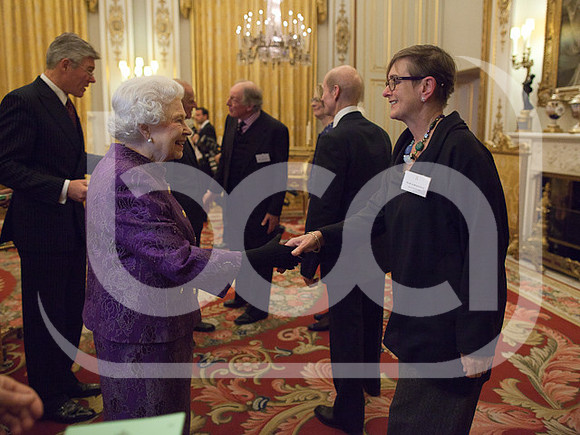131119_CBPR_SIDE__IMG_1499